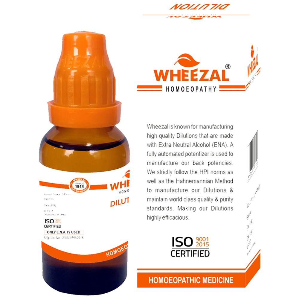 Wheezal Abrotanum  0/21 LM