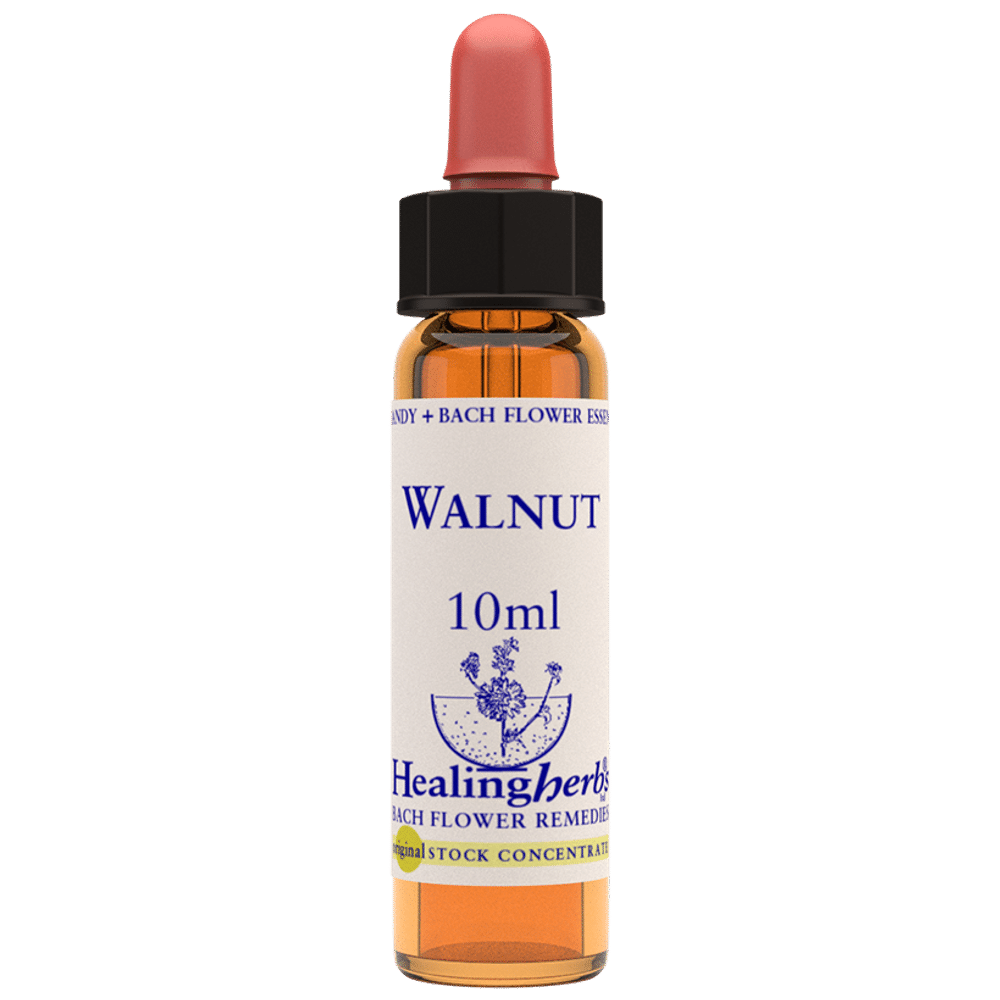 Healing Herbs Bach Flower Walnut