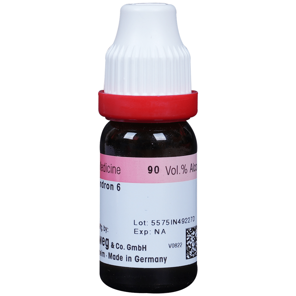 Dr. Reckeweg Rhus Tox Dilution 6 CH