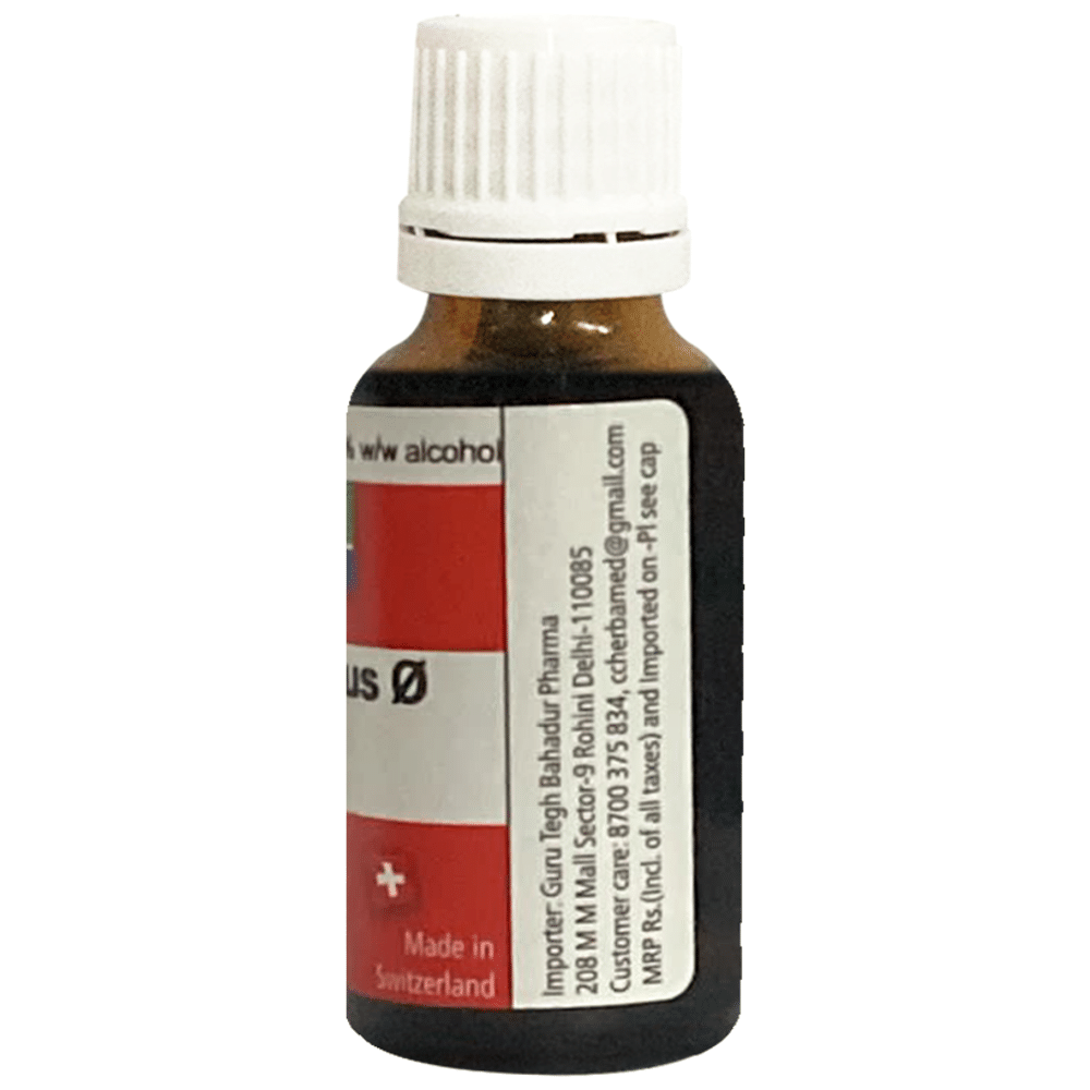 Herbamed Vitex Agnus Castus Mother Tincture Q