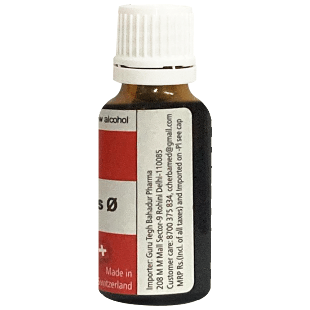 Herbamed Quercus e Glanditis Mother Tincture Q