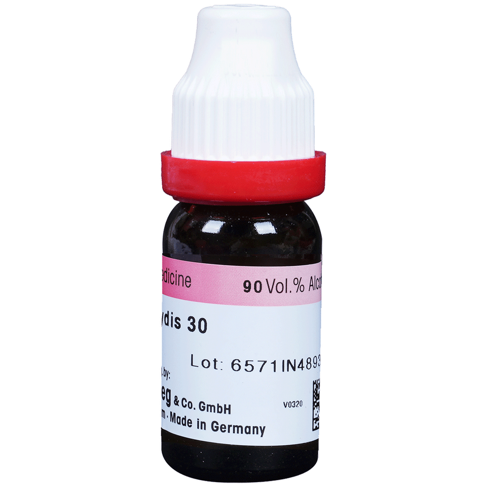 Dr. Reckeweg Ustilago Maydis Dilution 30 CH