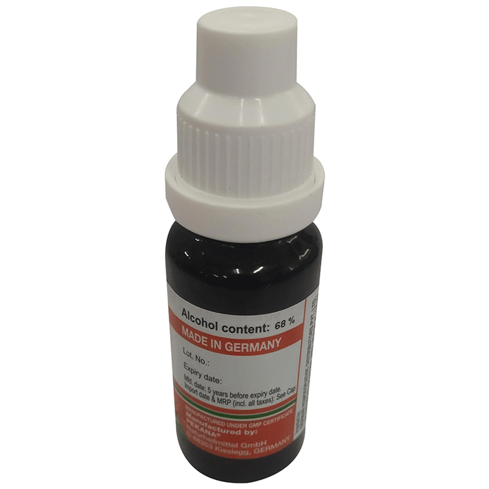 ADEL Chimaphila Mother Tincture Q