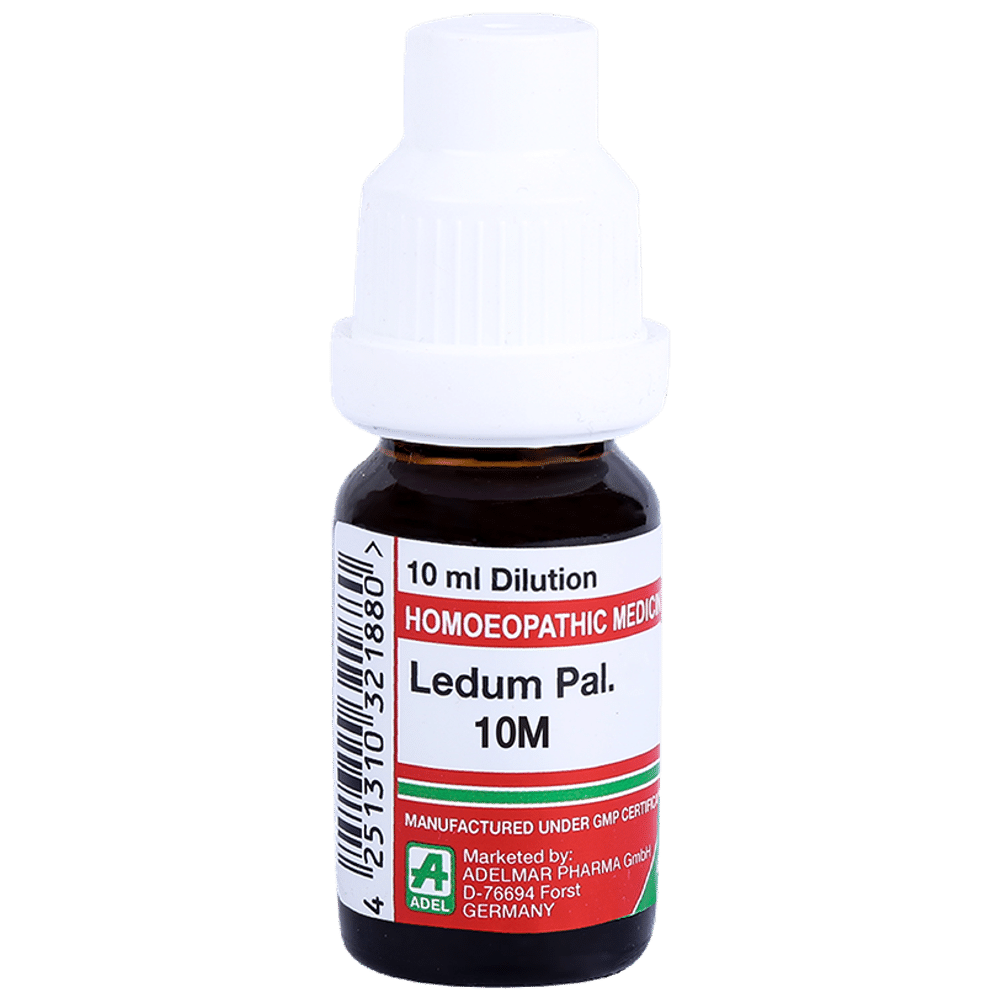 ADEL Ledum Pal.  Dilution 10M