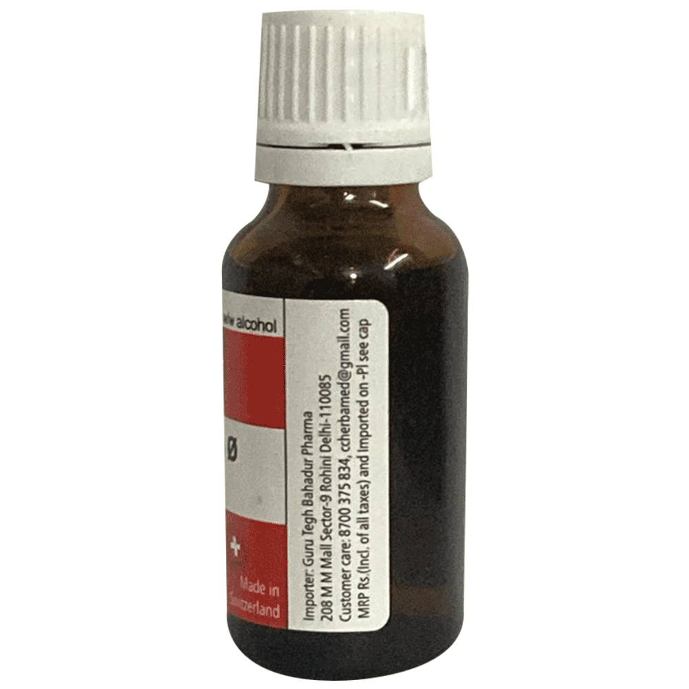 Herbamed Polygala Senega  Mother Tincture Q