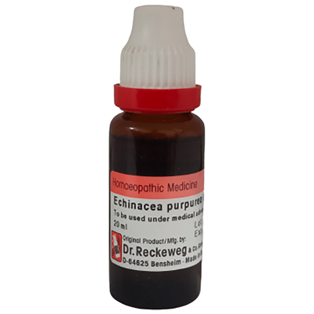 Dr Reckeweg &Co.gmbH Echinacea Purpurea Mother Tincture Q