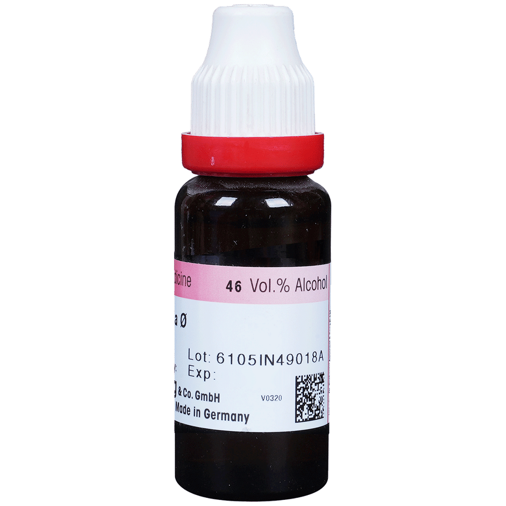 Dr. Reckeweg Stellaria Media Mother Tincture Q