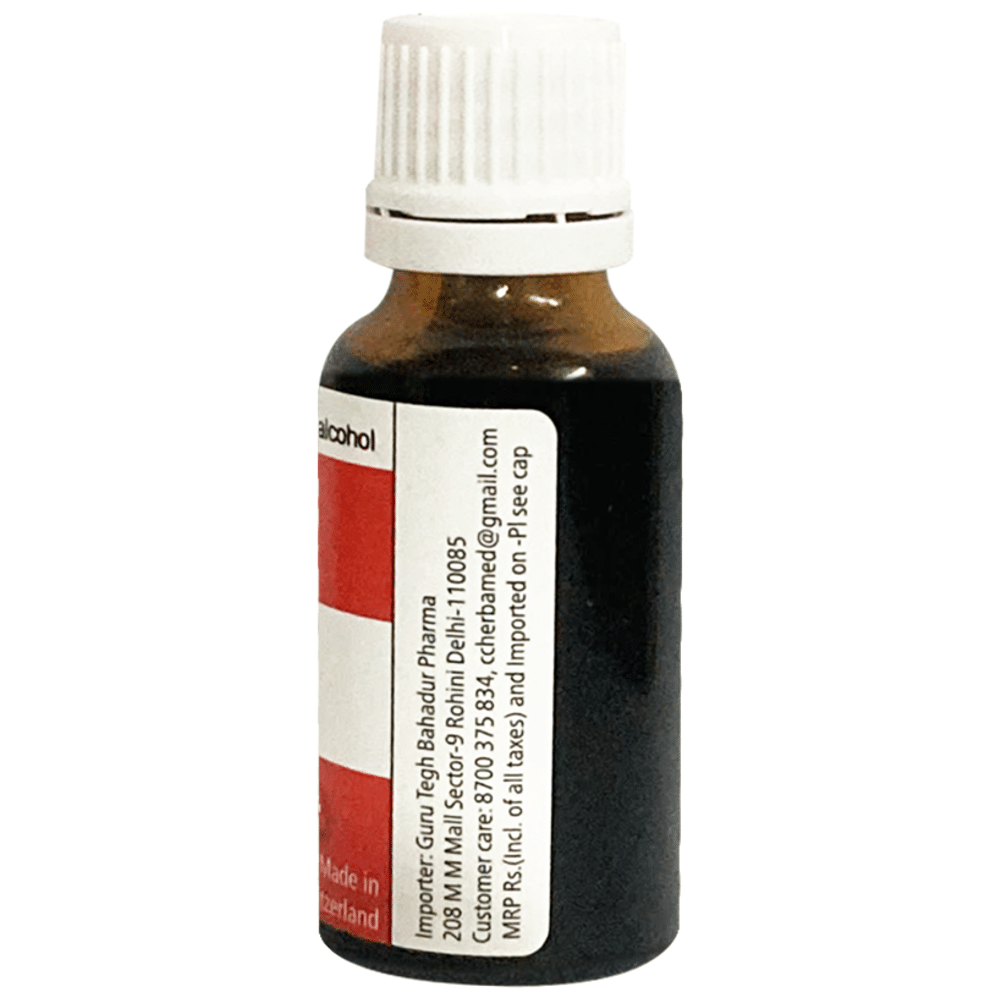 Herbamed Ginkgo Biloba Mother Tincture Q