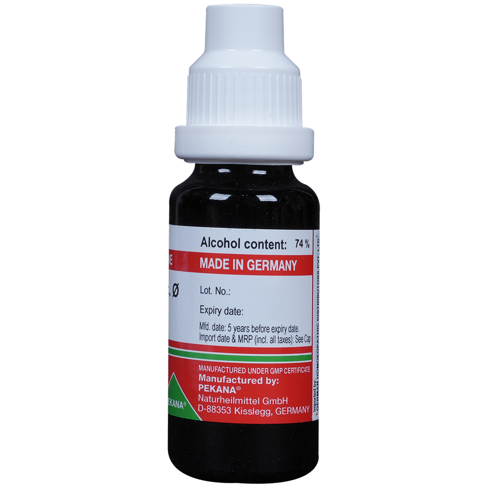 ADEL Gaultheria Proc Mother Tincture Q