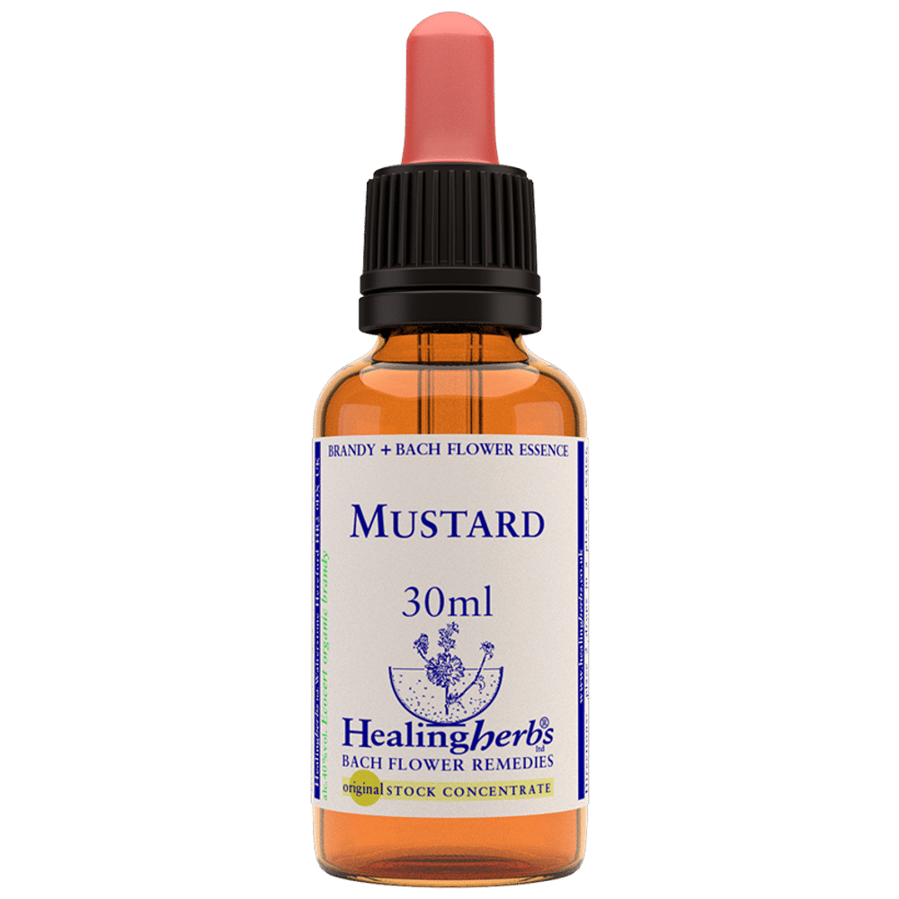 Healing Herbs Bach Flower Mustard