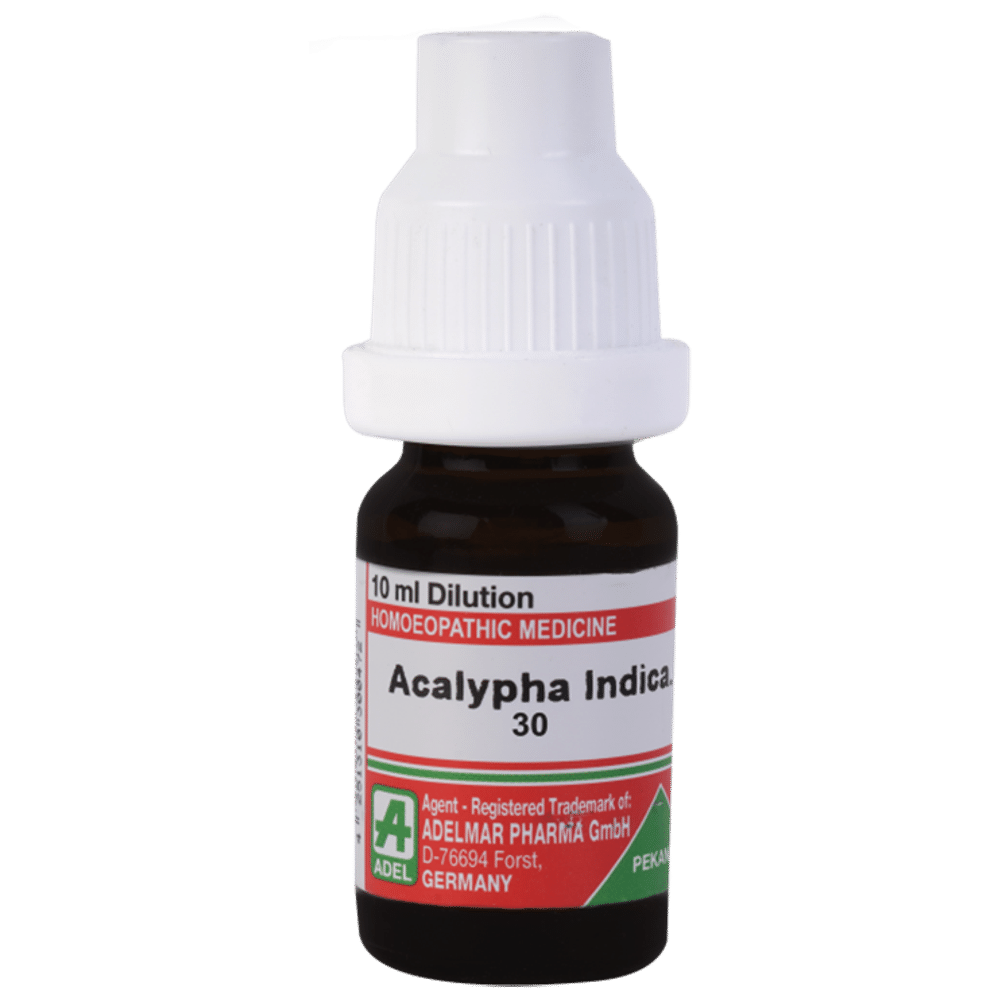 ADEL Acalypha Ind Dilution 30