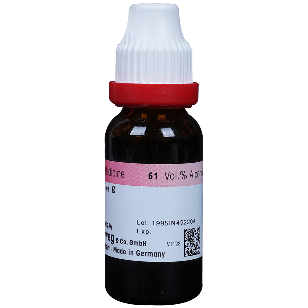 Dr. Reckeweg Bacopa Monnieri (Brahmi) Mother Tincture Q