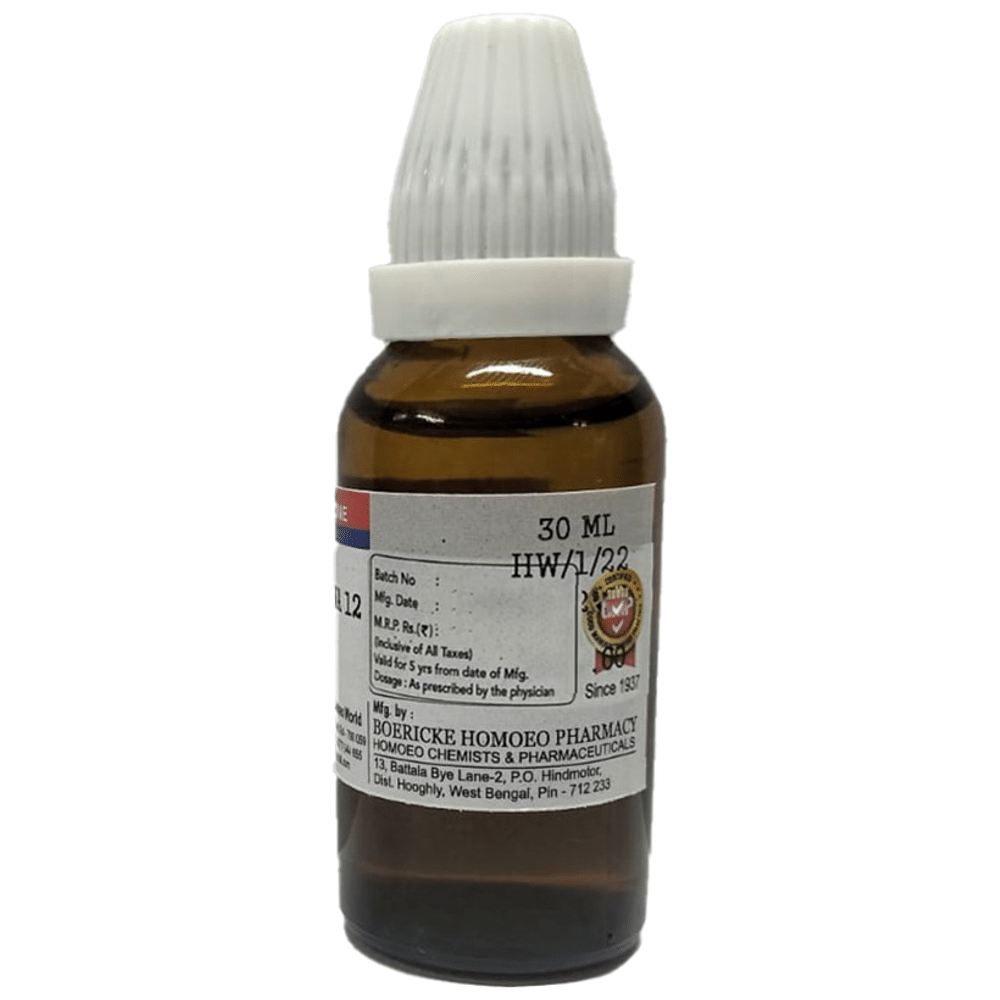 Dr. Majumder Homeo World Arnica Montana Dilution 12 (30ml Each)