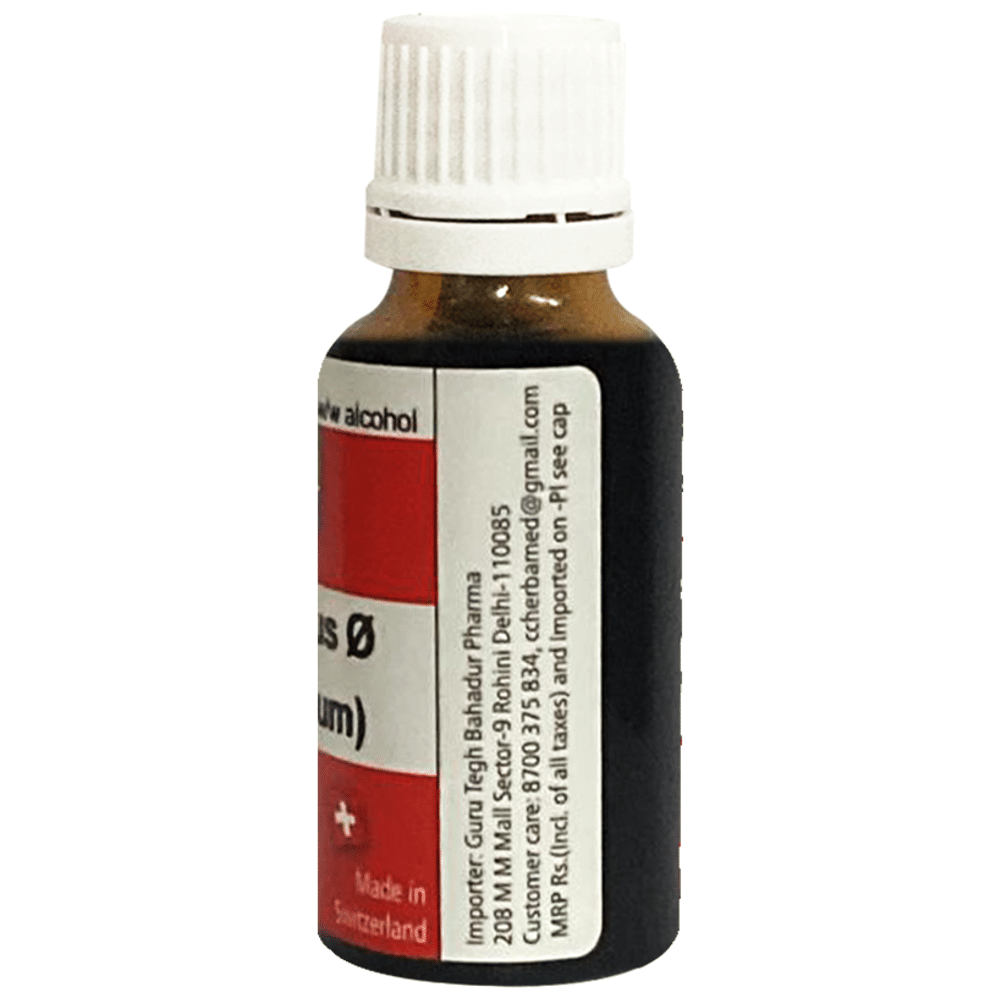 Herbamed Carduus Marianus Mother Tincture Q