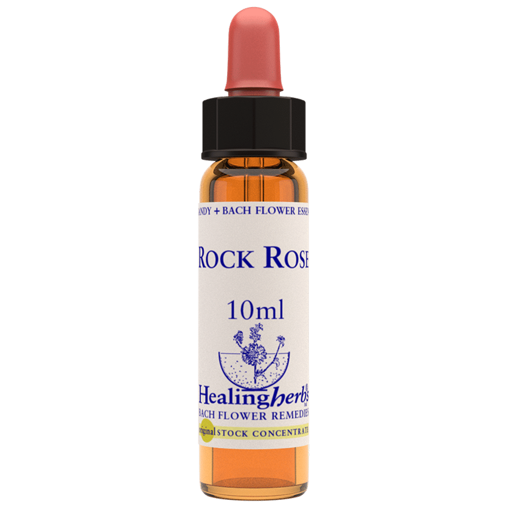 Healing Herbs Bach Flower Rock Rose