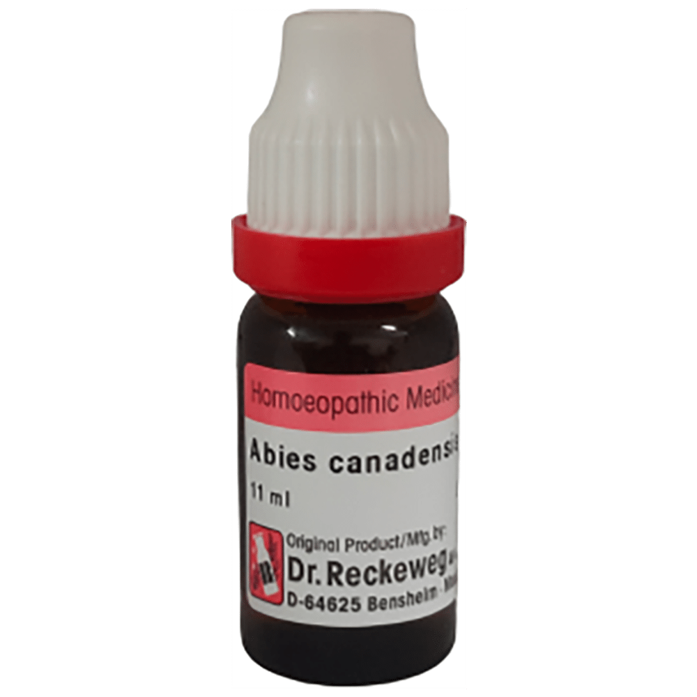 Dr. Reckeweg Abies Canadensis Dilution 6 CH