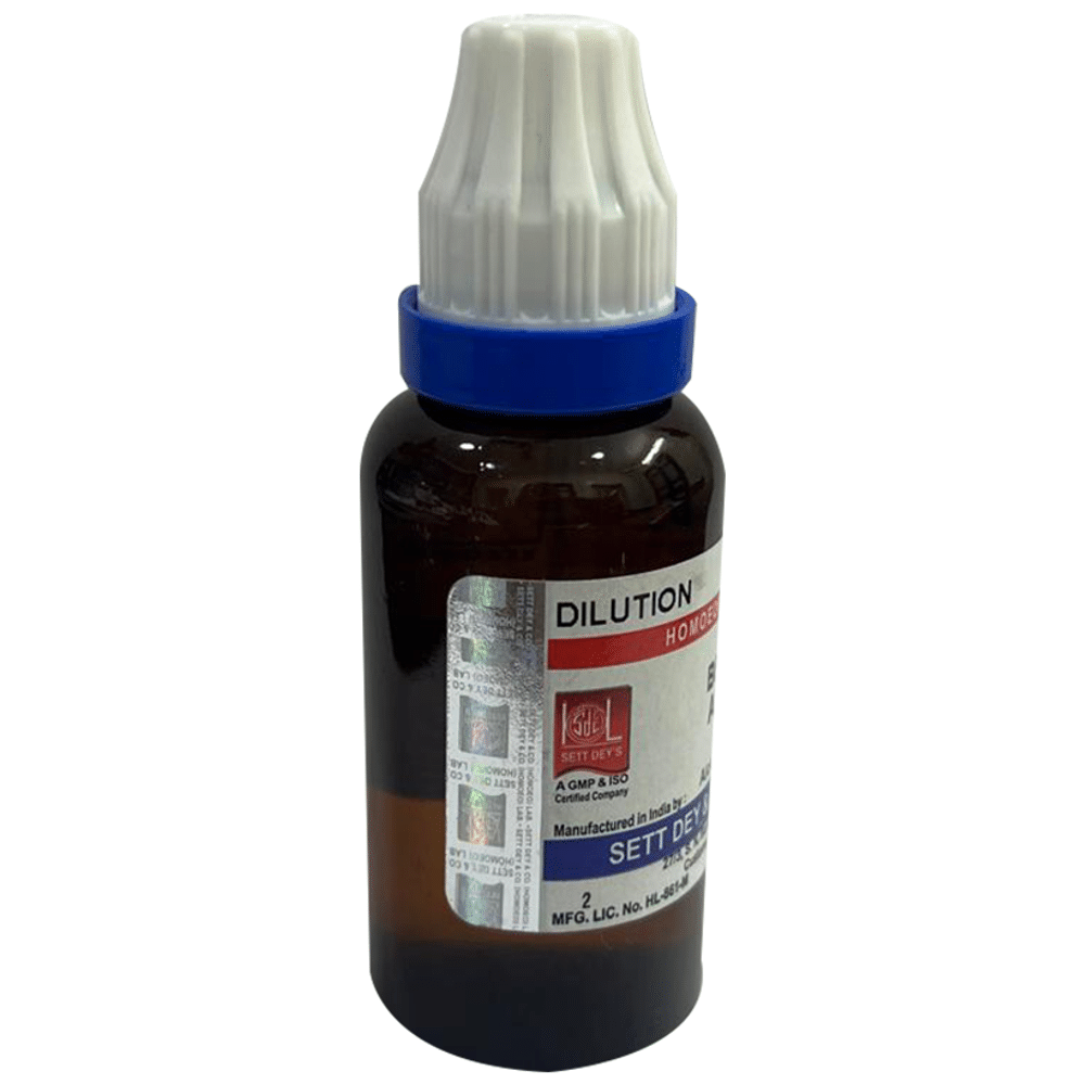 Sett Dey Lachnanthes Tinctoria Dilution 200