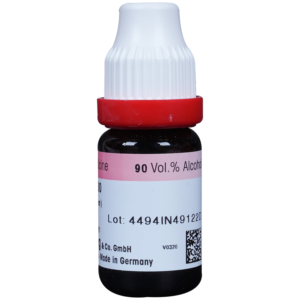 Dr. Reckeweg Lycopodium Dilution 30 CH