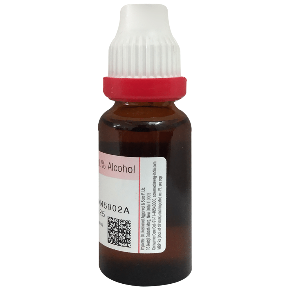 Dr Reckeweg &Co.gmbH Echinacea Purpurea Mother Tincture Q