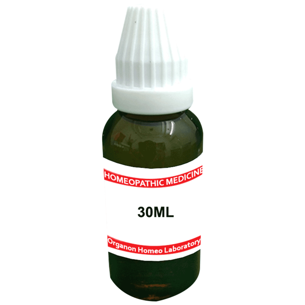 Organon Syzygium Jam Mother Tincture Q