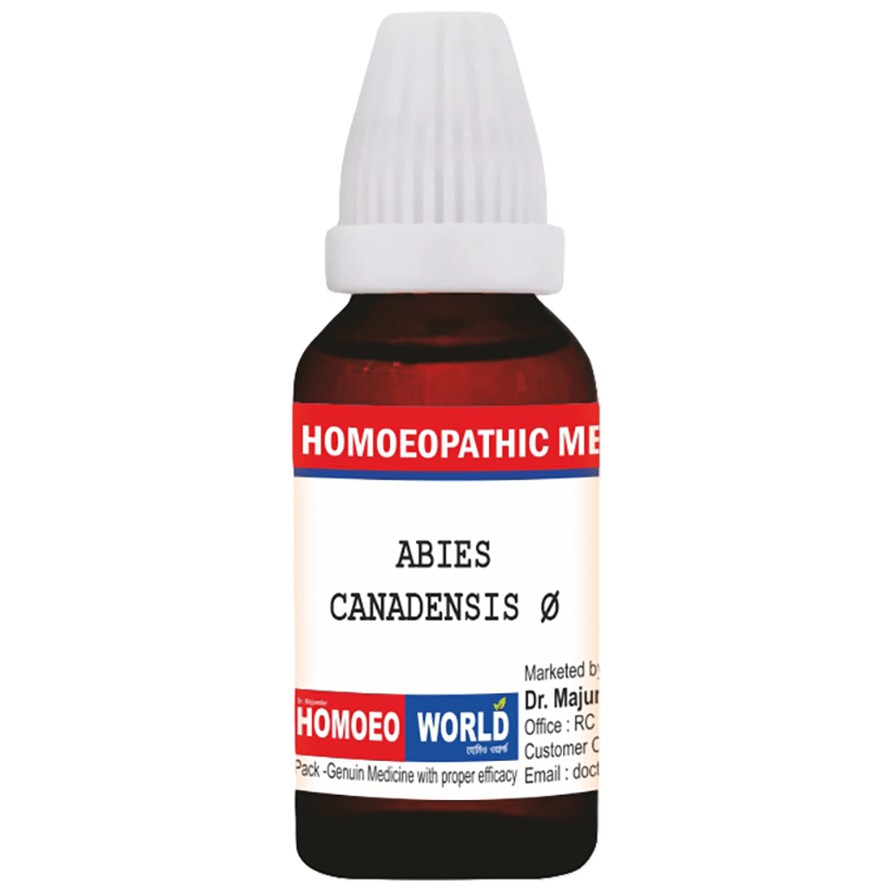 Dr. Majumder Homeo World Abies Canadensis Q Mother Tincture