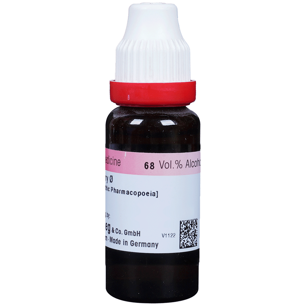 Dr. Reckeweg Phytolacca Berry Mother Tincture Q