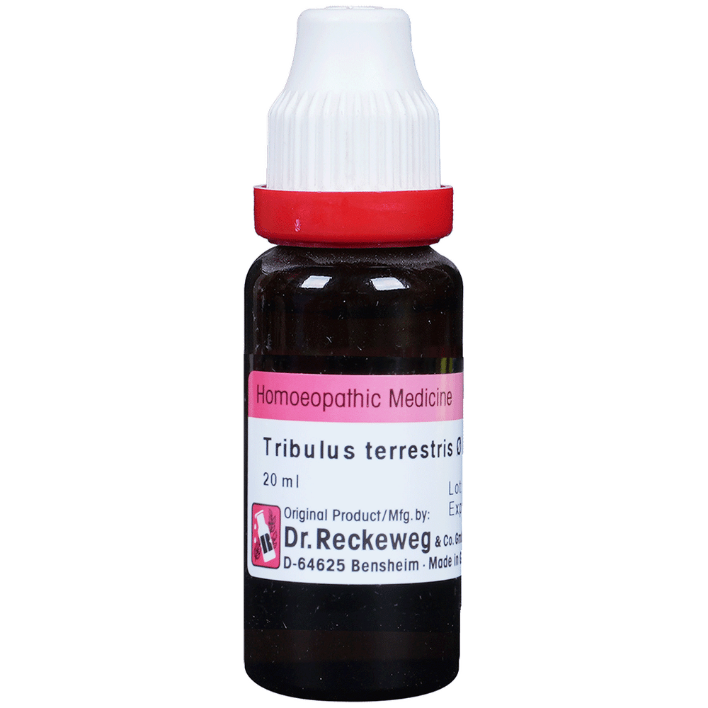 Dr. Reckeweg Tribulus Terr Mother Tincture Q