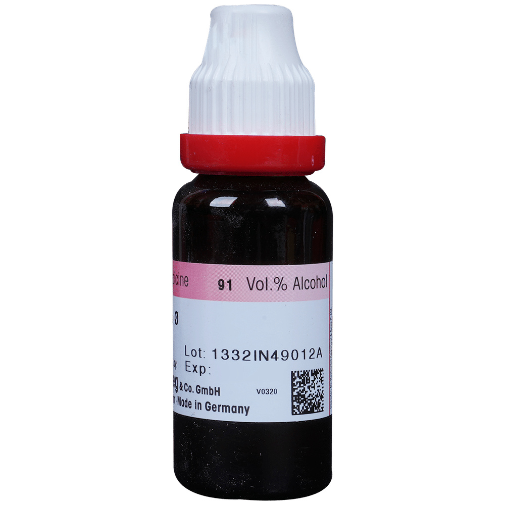 Dr. Reckeweg Agnus Cast Mother Tincture Q