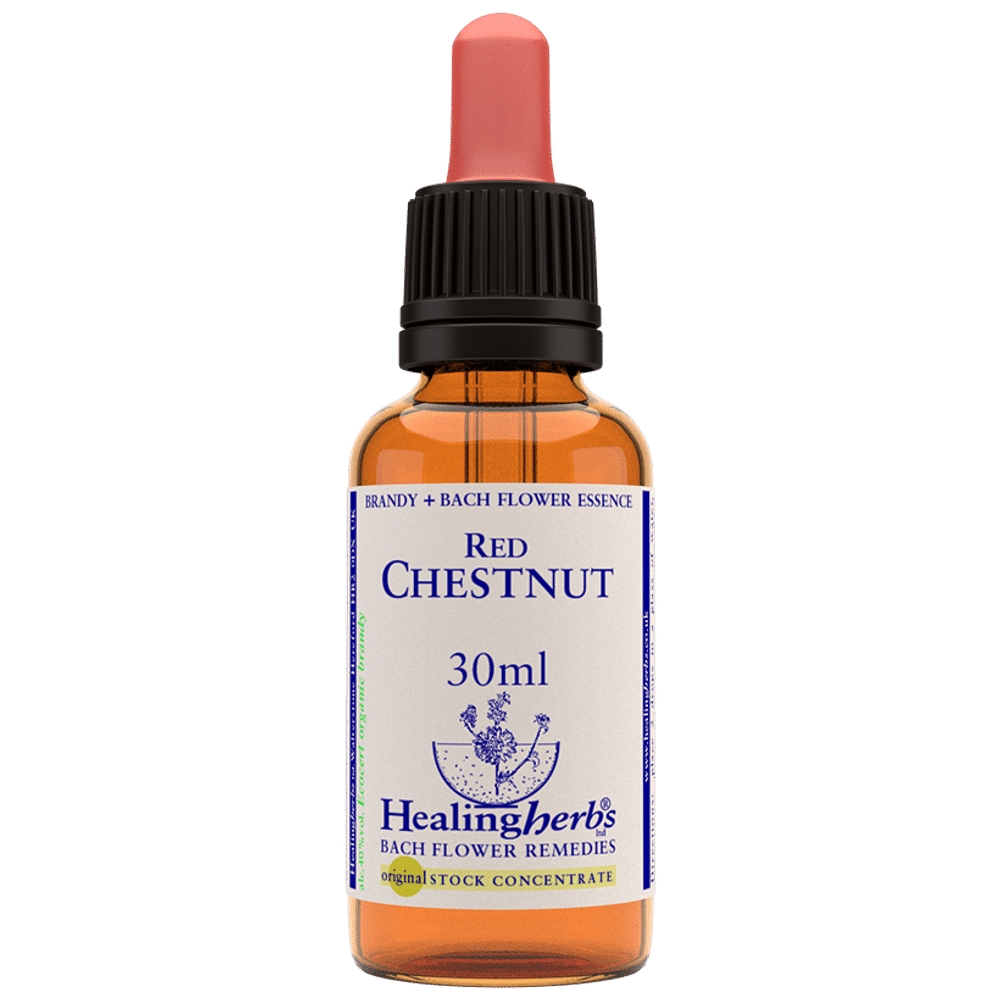 Healing Herbs Bach Flower Red Chestnut