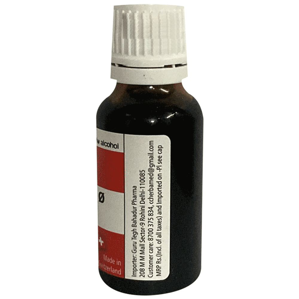 Herbamed Thuja Occidentalis Mother Tincture Q