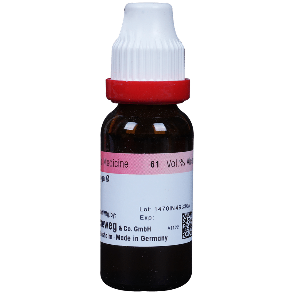 Dr. Reckeweg Ammi Visn Mother Tincture Q