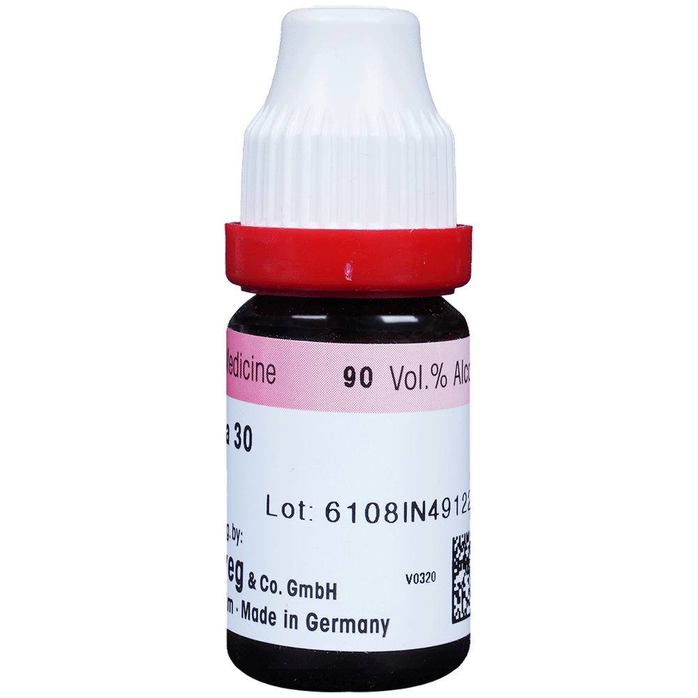 Dr. Reckeweg Staphysagria Dilution 30 CH