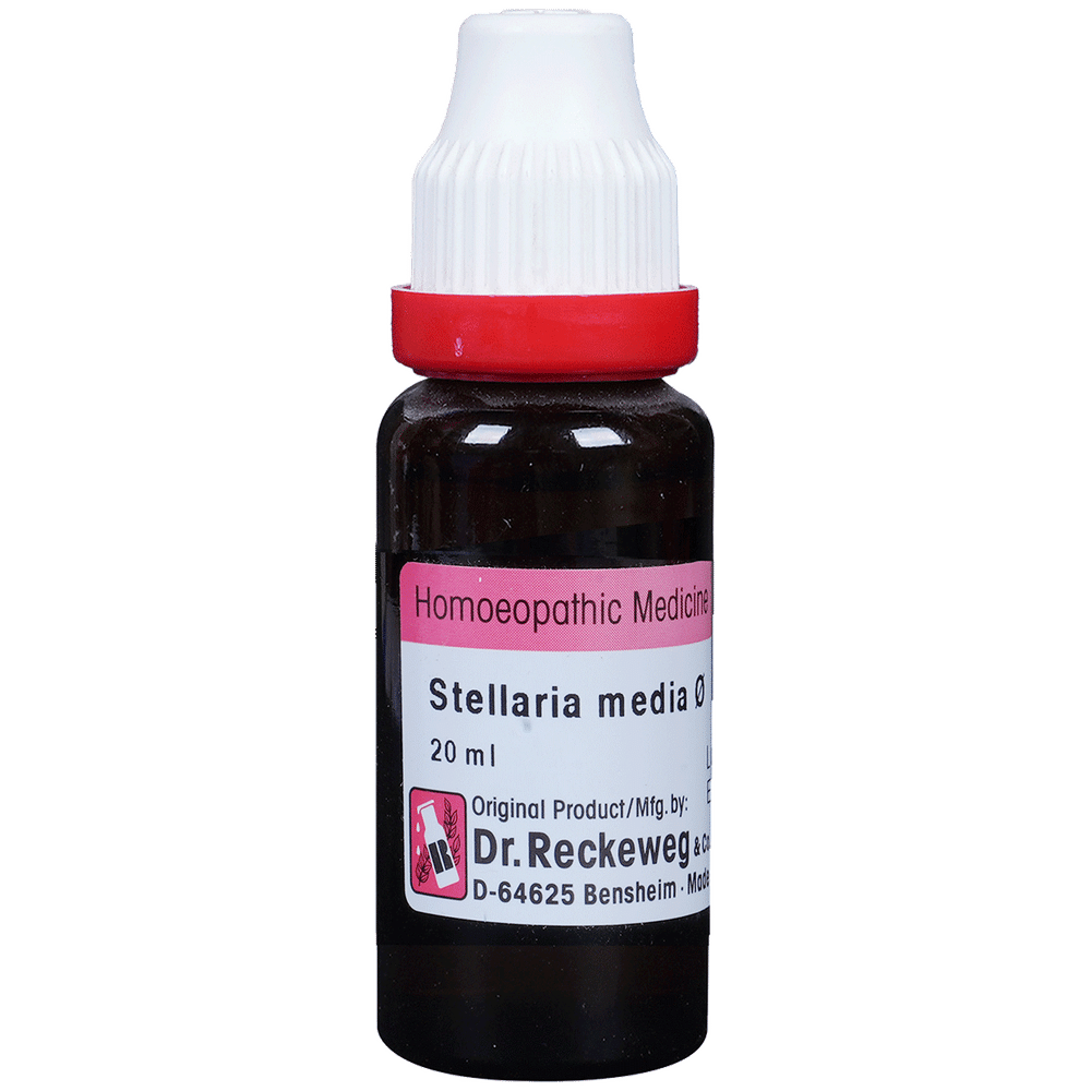 Dr. Reckeweg Stellaria Media Mother Tincture Q