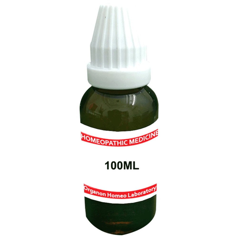 Organon Robinia Pseud Mother Tincture Q