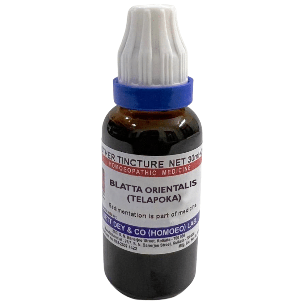 Sett Dey Blatta Orientalis Mother Tincture Q