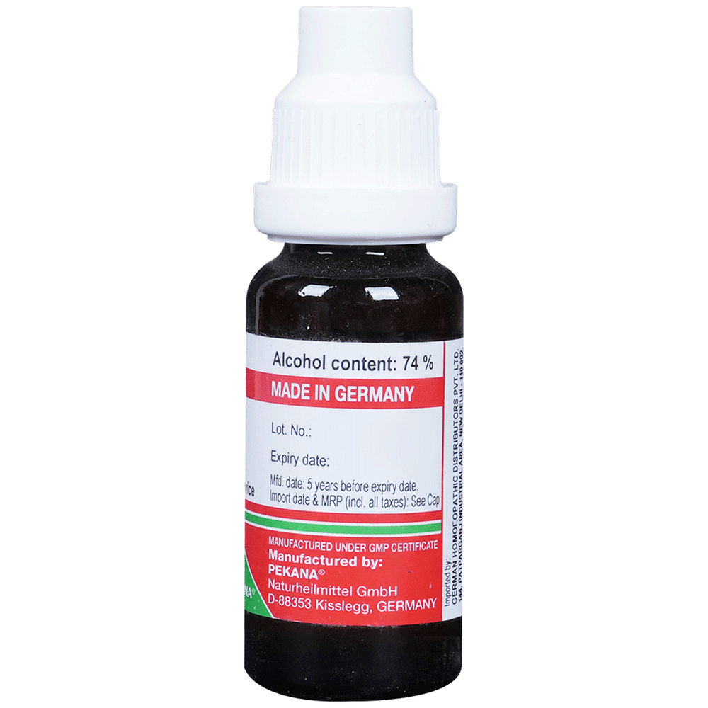 ADEL Ashwagandha Mother Tincture Q