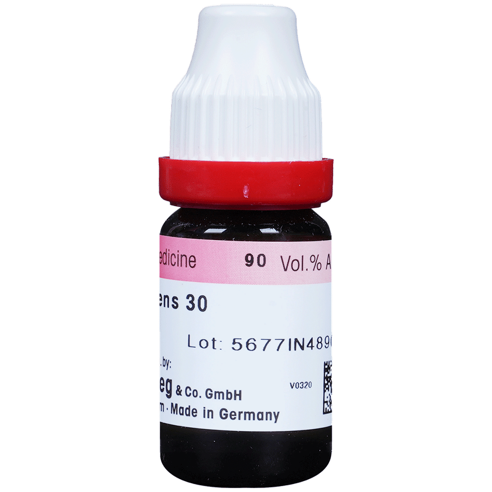 Dr. Reckeweg Ruta Graveolens Dilution 30 CH