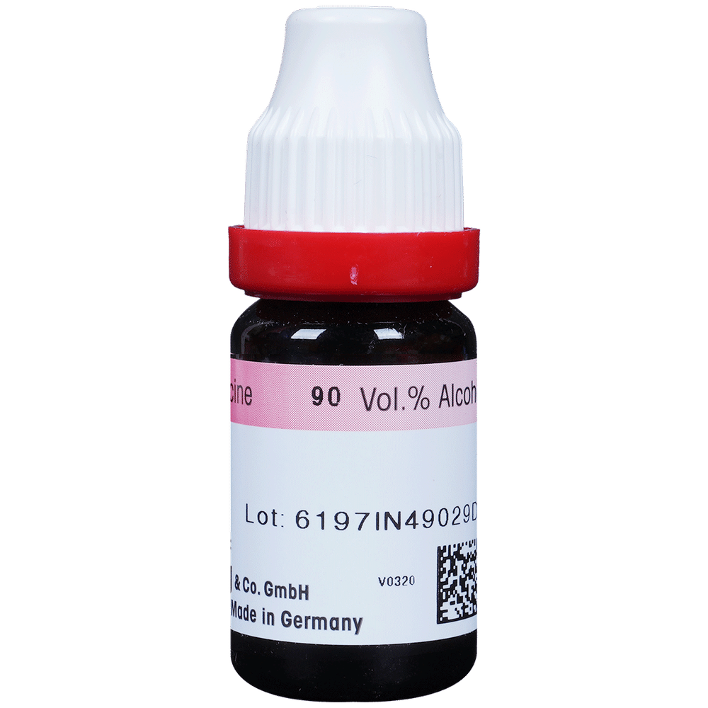 Dr. Reckeweg Sulphur Dilution 30 CH