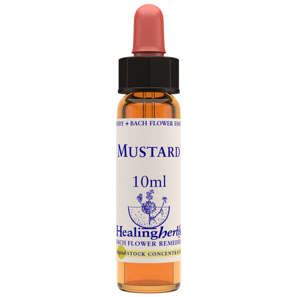 Healing Herbs Bach Flower Mustard