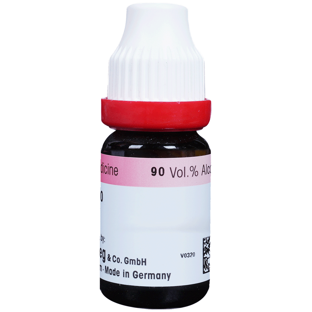 Dr. Reckeweg Belladonna Dilution 30 CH