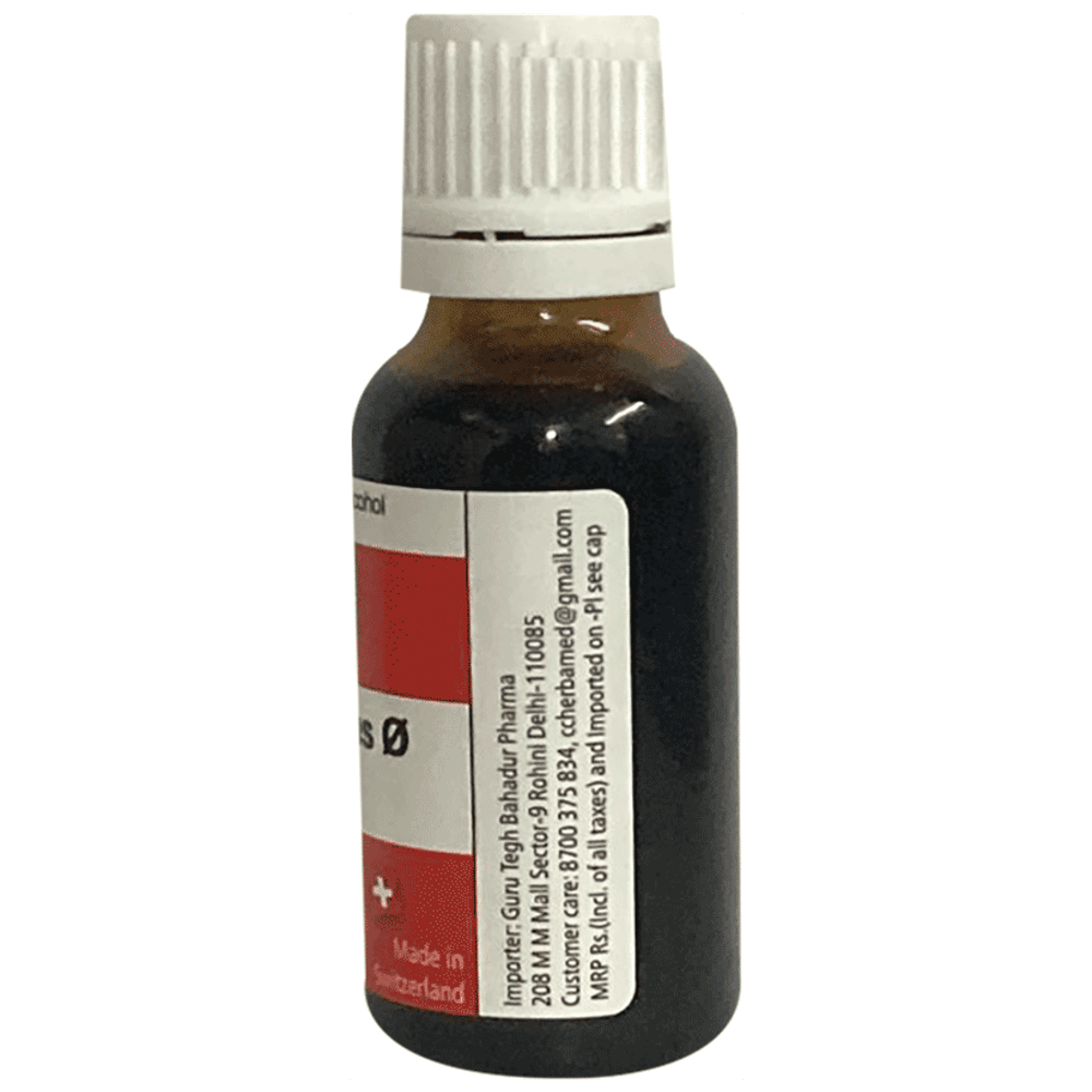 Herbamed Ceanothus Americanus Mother Tincture Q