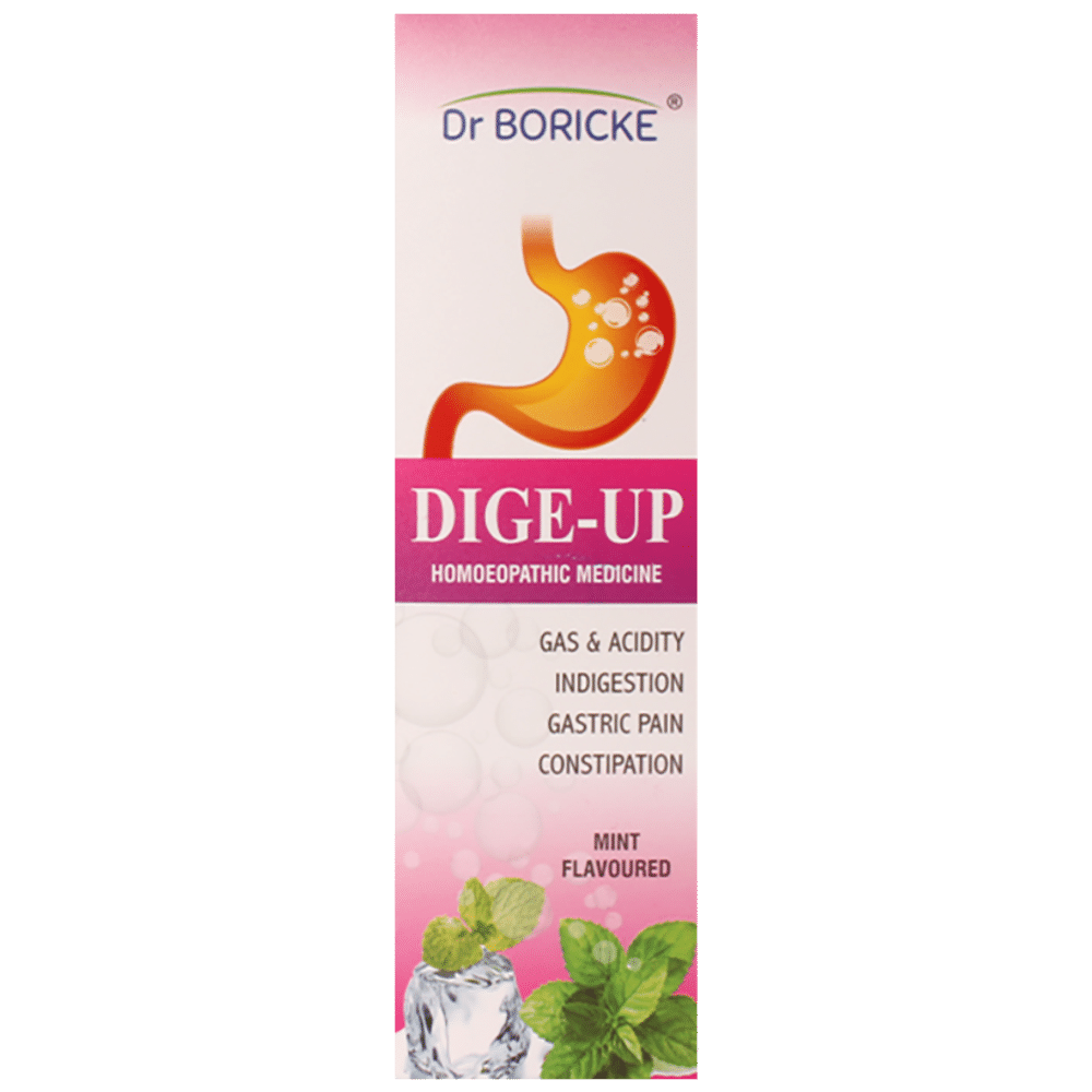 Dr Boricke Dige-Up Syrup Mint