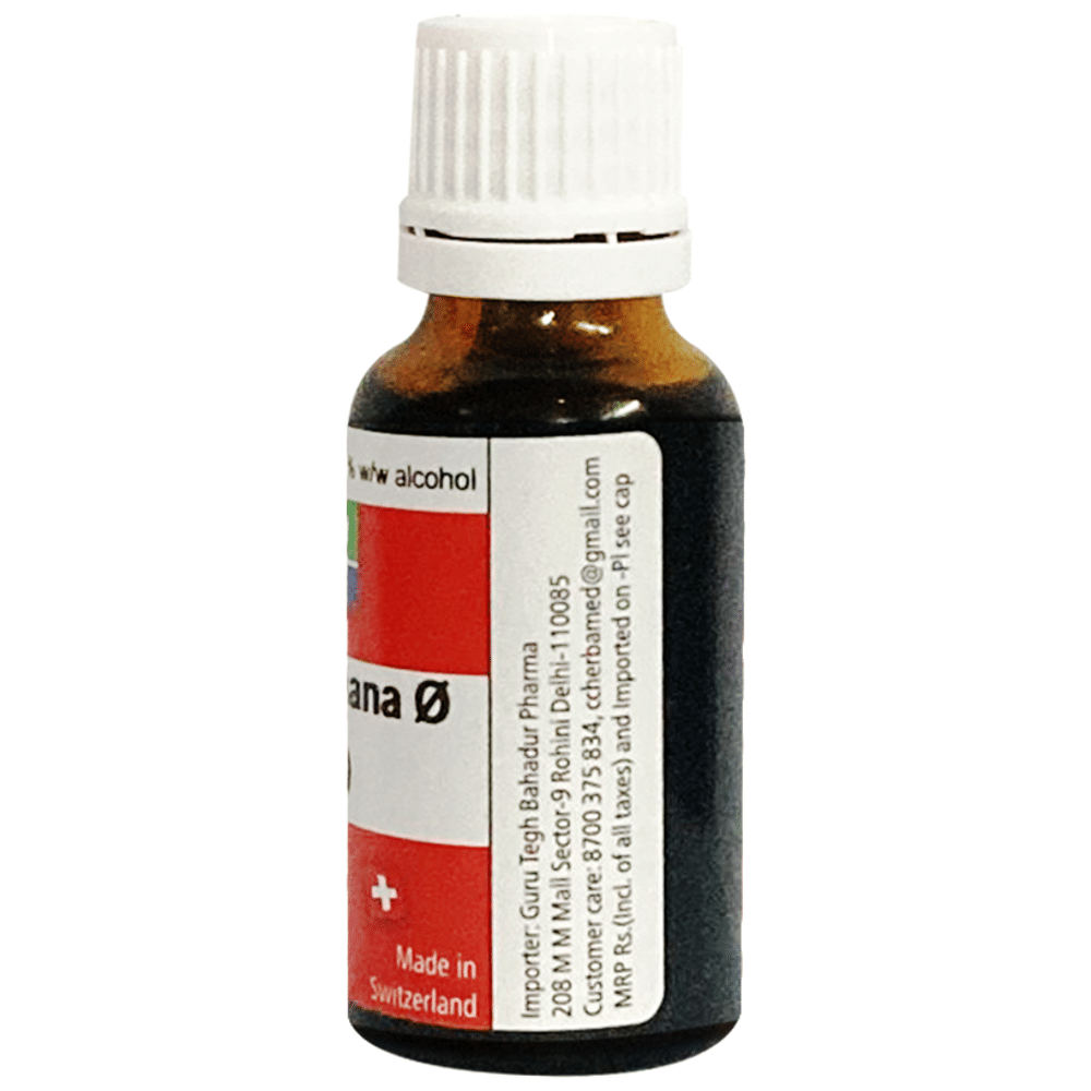 Herbamed Hamamelis Virginica  Mother Tincture Q