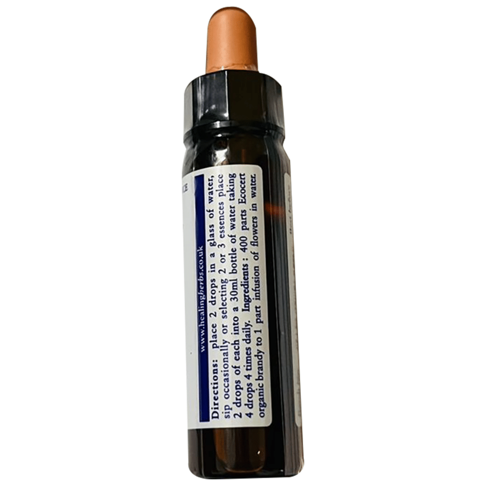 Healing Herbs Bach Flower Olive