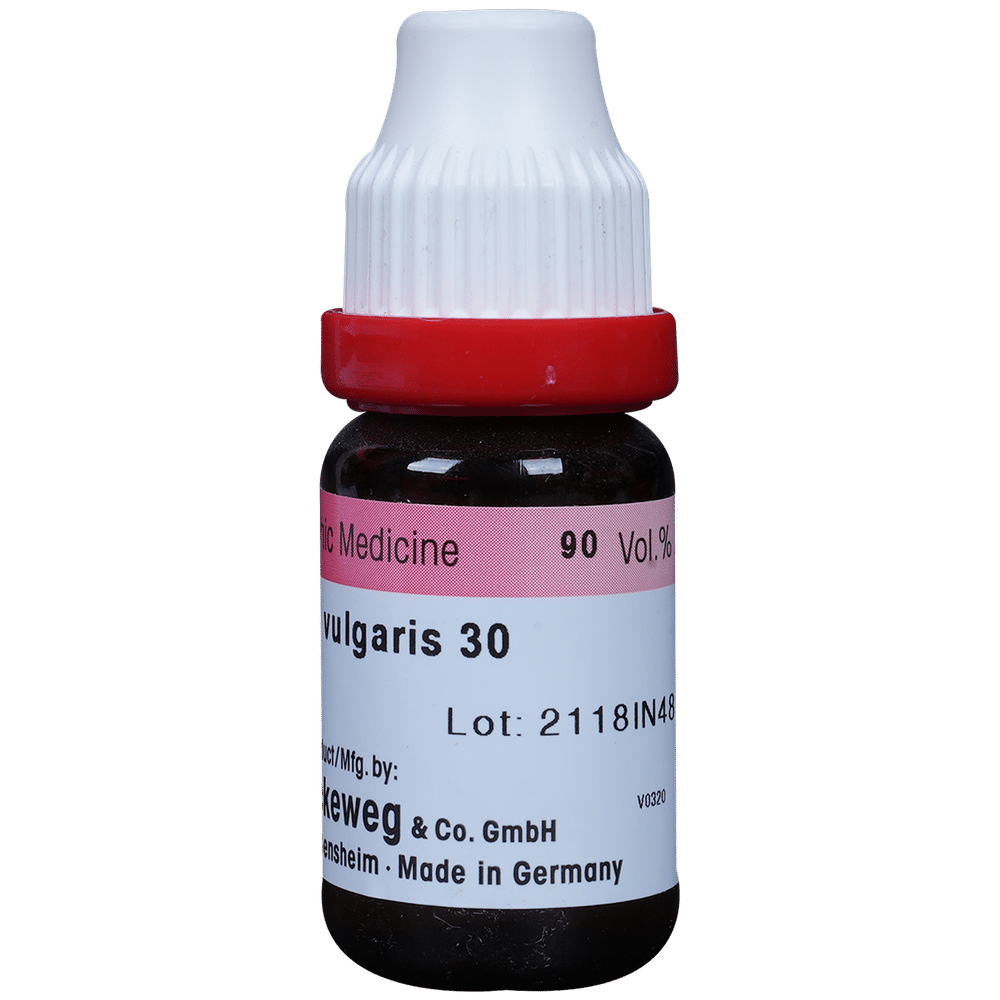 Dr. Reckeweg Berberis Vul Dilution 30 CH