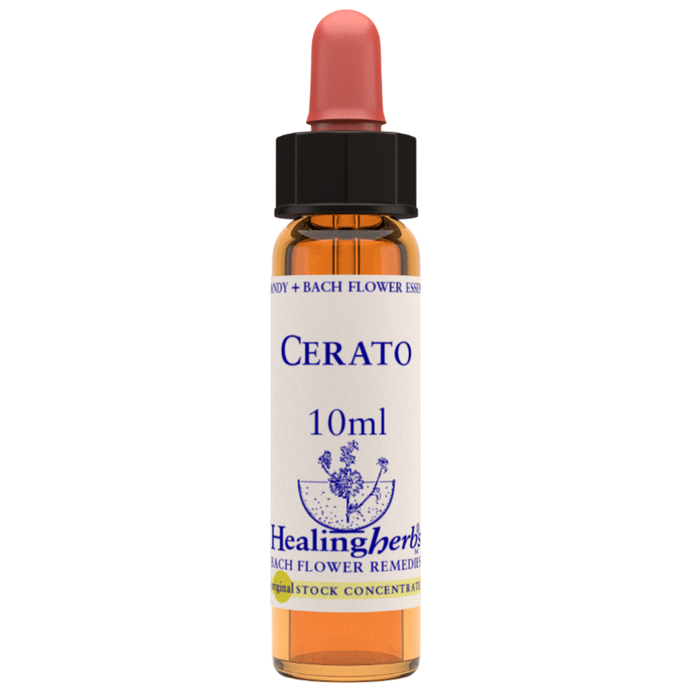 Healing Herbs Cerato