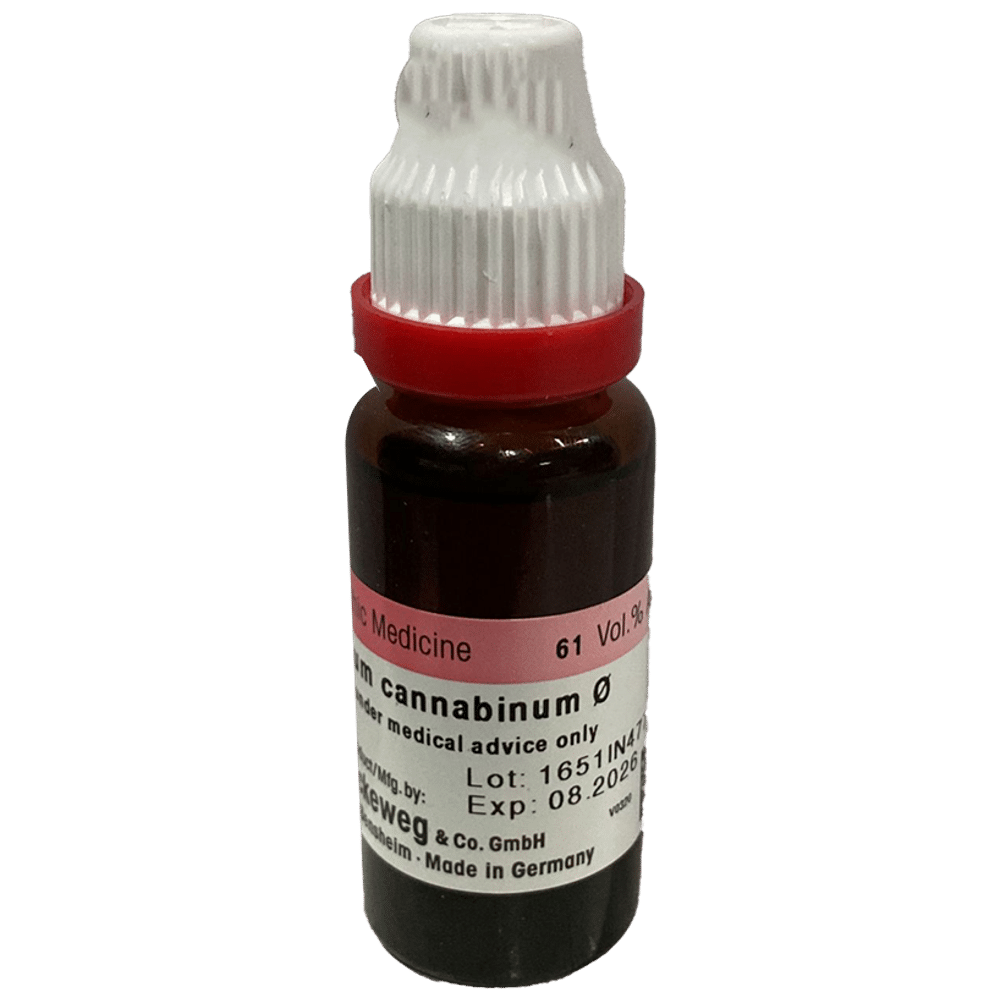 Dr. Reckeweg Apocynum Can Mother Tincture Q