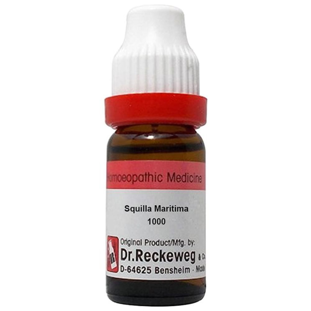 Dr. Reckeweg Squilla Maritima Dilution 1000 CH