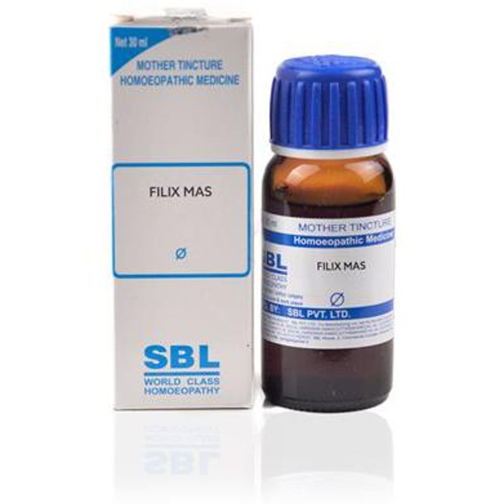 SBL Filix Mas Mother Tincture Q