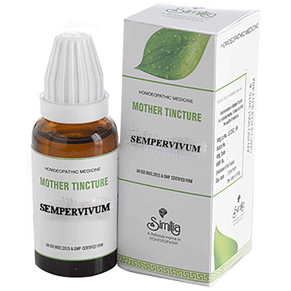 Similia Sempervivum Mother Tincture